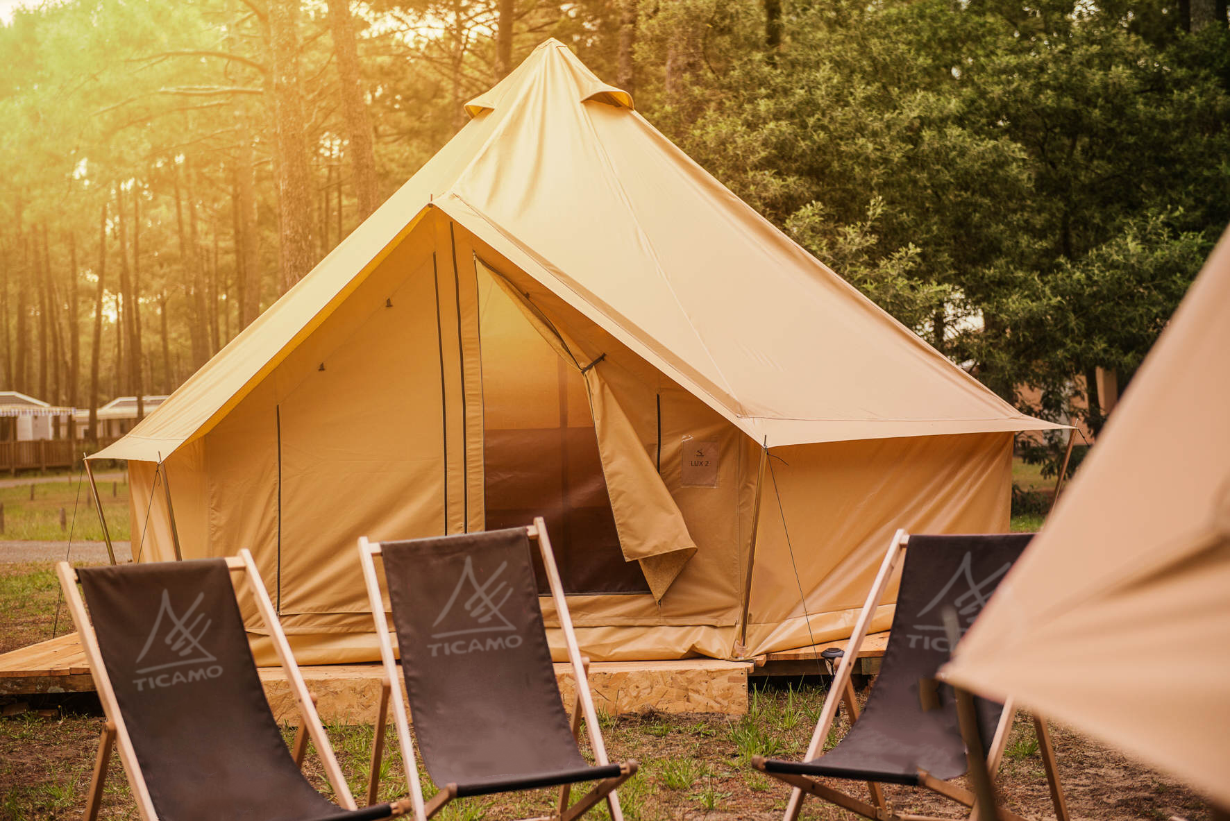 Tipi